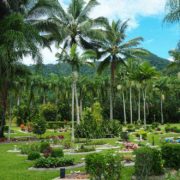Cairns Crematorium Memorial Gardens - West